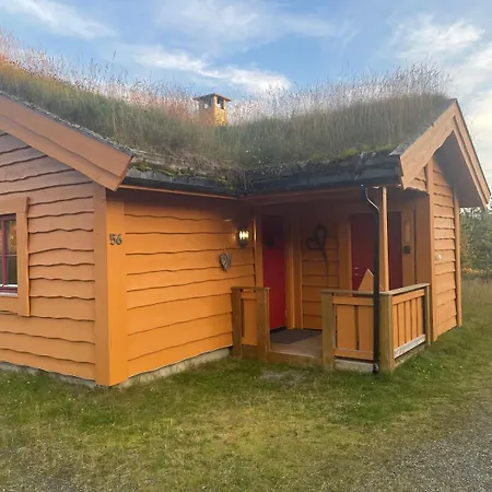 Adventurous Cozy On With Sauna! Διαμέρισμα *